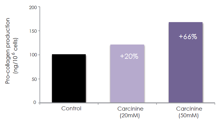 CSRCININE Carcinine energizes the skin Carcinine stimulates collagen production