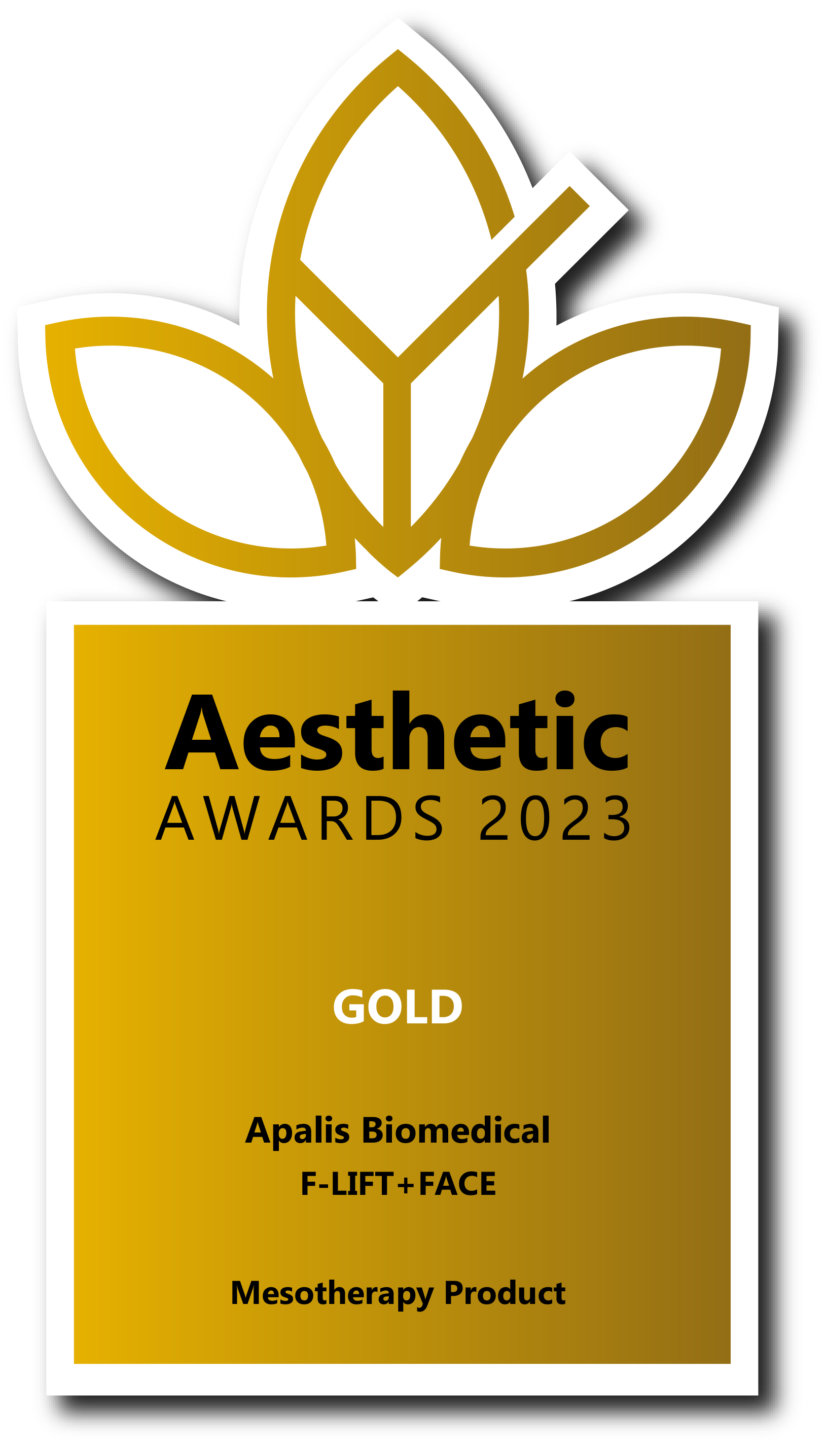 aesthetic awards-2